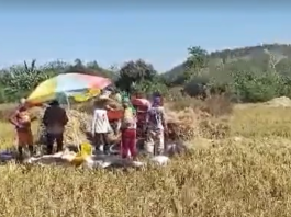 Kinakurang ti danum ita a tiempo ti El Niño, agtaltalinaed a karit kadagiti mannalon ditoy probinsiya ti La Union