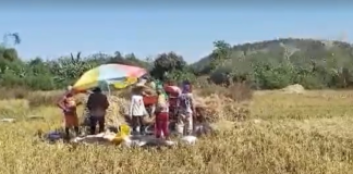 Kinakurang ti danum ita a tiempo ti El Niño, agtaltalinaed a karit kadagiti mannalon ditoy probinsiya ti La Union