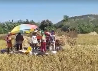 Kinakurang ti danum ita a tiempo ti El Niño, agtaltalinaed a karit kadagiti mannalon ditoy probinsiya ti La Union