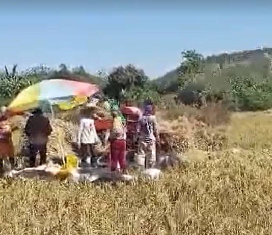 Kinakurang ti danum ita a tiempo ti El Niño, agtaltalinaed a karit kadagiti mannalon ditoy probinsiya ti La Union