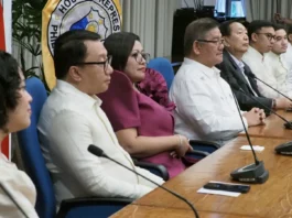 Nangipilan ti House prosecution panel ti formal offer of evidence kontra kenni Bise Presidente Sara Duterte mainaig iti Article 2 ti impeachment complaint, segun kenni House prosecution spokesperson Robert Ace Barbers.