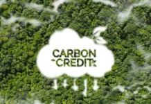 PBBM, inlatag iti allagaden ti carbon market; panagmula ti kayo, mabalin a pagbiagan