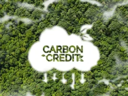 PBBM, inlatag iti allagaden ti carbon market; panagmula ti kayo, mabalin a pagbiagan