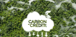 PBBM, inlatag iti allagaden ti carbon market; panagmula ti kayo, mabalin a pagbiagan