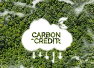 PBBM, inlatag iti allagaden ti carbon market; panagmula ti kayo, mabalin a pagbiagan