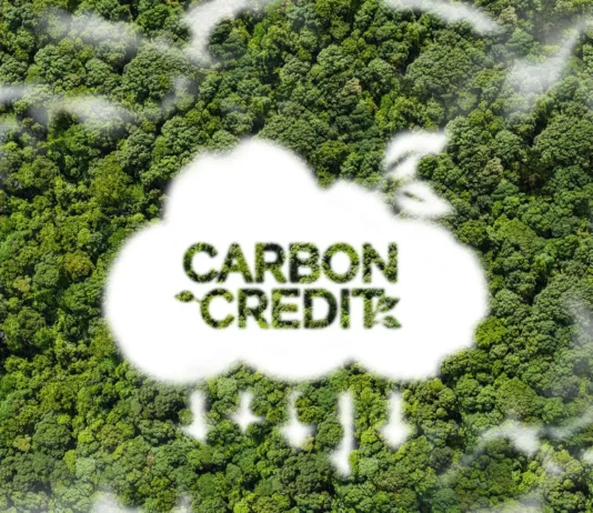 PBBM, inlatag iti allagaden ti carbon market; panagmula ti kayo, mabalin a pagbiagan