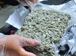 P24.79-M a gatad ti marijuana kush, nakumpiskar idiay NAIA; amerikano arestado