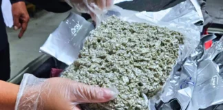 P24.79-M a gatad ti marijuana kush, nakumpiskar idiay NAIA; amerikano arestado