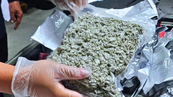 p2479-m-gatad-ti-marijuana-kush-nakumpiskar-idiay-naia-amerikano-arestado