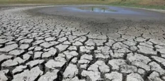 Senate panel, Insingasing ti ₱28-bilyon a Budget ti DENR para ti tawen 2027