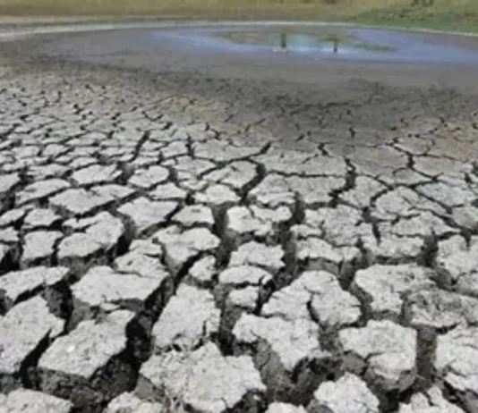 Senate panel, Insingasing ti ₱28-bilyon a Budget ti DENR para ti tawen 2027