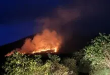 Lokal na pamahalaan ng Camalig, Albay bubuo ng contingency plan kaugnay ng magkakasunod na bushfire sa paanan ng Mayon volcano na dulot ng prolonged heat index Mayon bushfire