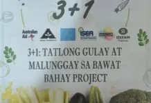 Virac, Catanduanes naglunsad ng 3+1:Tatlong Gulay at Malunggay sa Bawat Bahay Project sa gitna ng pagtaas ng presyo ng pangunahing bilihin Tatlong Gulay at Malunggay sa Bawat Bahay Project