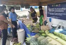 Trade fair para sa mga magsasaka inilunsad ng PNP at DAR sa Catanduanes