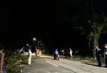 Cararayan-Naga road passable na sa lahat ng uri ng sasakyan Cararayan-Naga road
