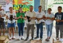 Veterinary Office namigay ng manok sa mga hog raisers na naapektohan ng outbreak ng ASF sa Tiwi