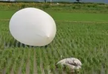 North Korea liwat na nagpalayog nin mga lobong may basura pasiring sa South Korea