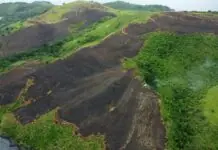 Pagkakaingin na pinaniniwalaang dahilan ng grassfire, inirereklamo ng mga residente sa Sitio Palumbanes ng Catanduanes