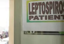 Kaso kan leptospirosis sa Bicol nagsakat na sa 65 LEPTOSPIROSIS