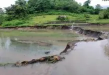 P350 million na danyos sa agrikultura an winalat kan bagyong Enteng sa Bicol- DA DA BICOL
