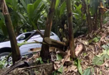 3 pasahero kabilang ang dalawang menor de edad, na-rescue matapos muntik pang mahulog sa bangin ang sinasakyang kotse sa Catanduanes vehicular accident in Baras, Catanduanes