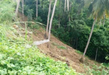 Pio Duran MDRRMO nag-abiso sa publiko manungod sa nairehistring minor landslide sa Alabangpuro-Oringon Road