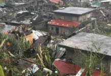 Abaca farmers sa Catanduanes pinaghihidali na an pag-strip sa mga abaca para mapakinabangan pa damage houses in Catanduanes