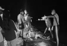 Sarong parasira nadukayang gadan makalihis na malamos sa Pandan, Catanduanes