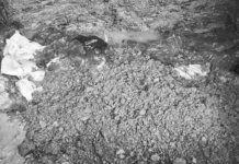 Sarong tonelada nin expired na breast chicken fillet gikan sa China, pigdisposed kan NMIS Bicol sa Brgy. Imalnod, Legazpi City