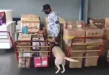 PCG, nagdugang nin mga K9 dogs sa mga pantalan sa rehiyon bilang parte kan paghihigit sa seguridad PCG K9 dogs