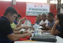 Indemnification para sa mga apektadong hograisers kan ASF piglangkawan na kan DA