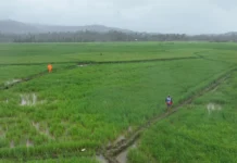 84-anyos na lolo na nawawara, nadukayang wara na nin buhay sa omahan sa Panganiban, Catanduanes