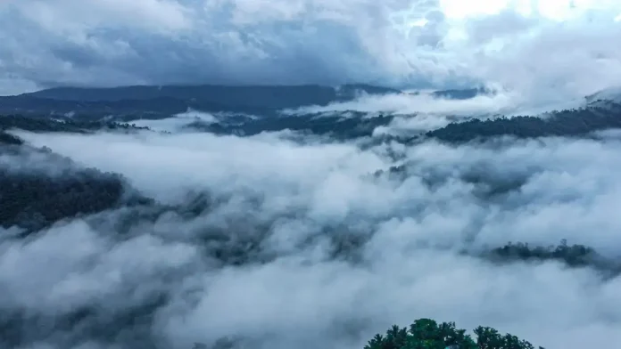 AMIHAN