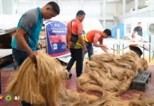 Abaca Buying Hub, inilansar sa Catanduanes