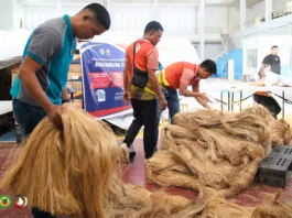 Abaca Buying Hub, inilansar sa Catanduanes