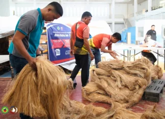 Abaca Buying Hub, inilansar sa Catanduanes