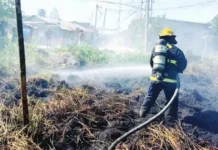 BFP pigheras an isasagibong mga lakdang kontra kasulo sa panahon kan El Niño