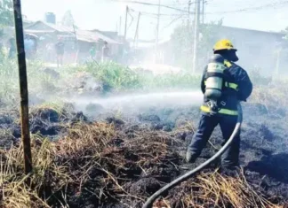 BFP pigheras an isasagibong mga lakdang kontra kasulo sa panahon kan El Niño