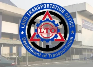 Lisensya kan mga drunk driver, tulos na babawion- LTO