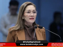 Senator Hontiveros, nanindugan laban sa pangungutya sa mga PWD