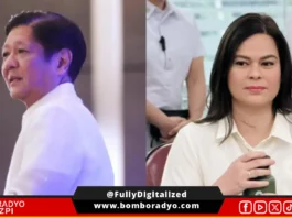 VP Sara, sinabing bako bastante an balde sana sa peligro kan tag-mara sa nacion