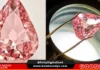 Rare pink diamond na hinabon nin haros 100 taon idi-display sa publiko sa France