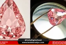 Rare pink diamond na hinabon nin haros 100 taon idi-display sa publiko sa France