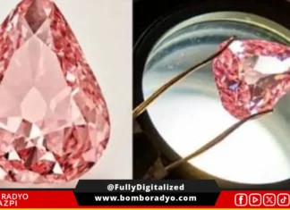 Rare pink diamond na hinabon nin haros 100 taon idi-display sa publiko sa France