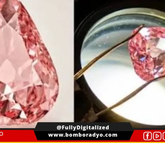 Rare pink diamond na hinabon nin haros 100 taon idi-display sa publiko sa France