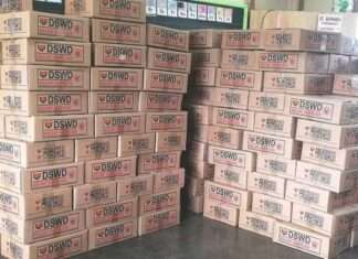 DSWD, Handa na sa Super Typhoon Champi: Milyon-milyong Ayuda, Nakatagama