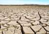 DA, Pabor sa Calamity deklara nin State of Calamity tanganing marikas na matugunan an epekto kan El Niño