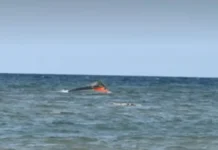 139, Kabilang an mga Aki, Nagadan sa Paglubog kan Bangka sa Djibouti