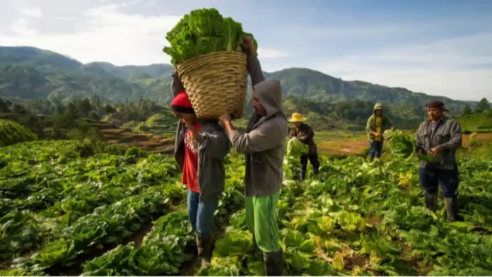 da-hinihikayat-ofw-maglaog-agribusiness