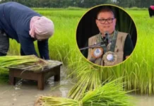 DA, nag-apela na maaprubahan an P198.4-B Budget sa Senado sa tahaw kan grabeng krisis sa Agrikultura